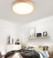 lightings_singapore_-_TANUKI_Ultra_Slim_Ceiling_Light_with_Safety_Mark_LED_Drivers_1_1024x1024.png