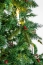 DSC_0046.jpg