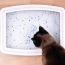 crystal-cat-litter.jpg