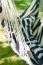 218d7cba5fe6a8cd808c1fdeec0a2be2ced86846-1000x1000.jpg