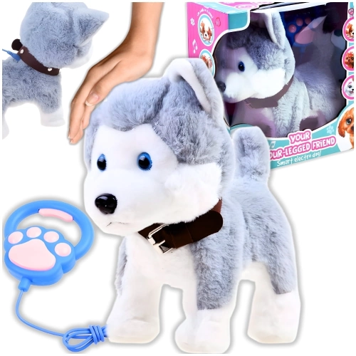 f7262c0061bd7e9e9f75d752aa5bafdb