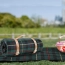 cef148d5bed878663f85f497094687f4.jpg