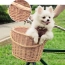 96199fe7e36872a6116e4190b3d71091.png