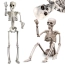 0d722b429b70127dcc612c0e6a6c10d9.png