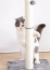 7a459364bca5ccd564ba7559b9238782.png