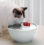 a08f5462b915c55bc97387beacdc8477.png
