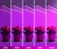 3f5dfd9161e6fed7ed955565433bb3b0.png