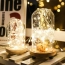 Lampki 20 led do butelki korek zatyczka – zdjęcie 11