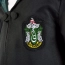 Harry Potter strój bal przebierańców różdżka przebranie peleryna okulary – zdjęcie 6