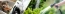 f95277b0e90eee027dd66d50a98104a5.jpg
