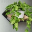 d5f8399e5fad6b89a88db60880ce18b5.png