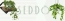 4abdd524e241cfaf5f0d8749bbe3213b.png