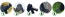 6d6b329fecf95e74a777a4b159fb87e1.png