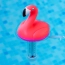 fb56ddebb534306be35e76de18a48273.png
