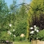 c53a1a5cf63cd6403e5261278072ac74.png