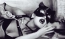 97ca5379c35d079a74e3a4a9fabb5b6b.png