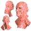 80d5ed7c64f7bc6931e742de83007765.png