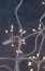 0ec0e48c810bcd1dc42deab85a03e12f.png