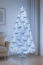 c644161bc18e5e2f4af9ca119a08e6b5.png