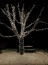 97a1765ecd8aff2759b8cbbd50d32568.jpg