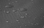 da228fed2c9058252c345be63831f420.jpg