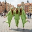 a6948f8292cae2d81368850f36eac0f7.png
