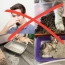 7bdf78e15978a72de3bc9946031813b6.png