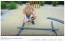 f24d97a3ce3b2dbf7354e8c65e19ba5c.jpg