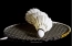 5698908dfd6b9537b5fe974882ba644e.png