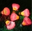 fa095ed169793aae1ca2cc861d65d4f7.png