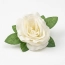 a7719987334f3840a767460ded4fbfd5.jpg