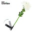 Zestaw 2 szt. lamp led chryzantema biała | GoGarden – zdjęcie 3