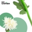 Zestaw 2 szt. lamp led chryzantema biała | GoGarden – zdjęcie 4