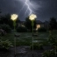 Zestaw 2 szt. lamp led chryzantema biała | GoGarden – zdjęcie 13