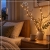 b70ad602f6c540b4add32cc95cf718b0.jpg